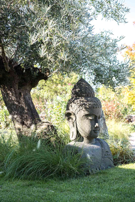 Propriété de prestige avec activités à Aix-en-Provence - Villa "Les Anges"