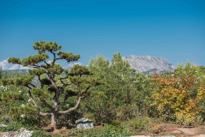 Location de villa de luxe à Aix-en-Provence - Villa "Les Anges"